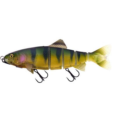 nre056-shallow-trout-rep-stickleback-2jpg
